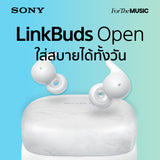 LinkBuds Series | LinkBuds Open Wireless Headphones (WF-L910) 2