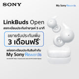 LinkBuds Open | WIRELESS STEREO HEADSET (WF-L910) 1