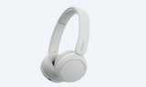 WH-CH520 Wireless Headphones 29