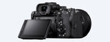 α7R V full-frame high-resolution camera (ILCE-7RM5) 4