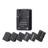 Battery Charger (BC-QM1) 1